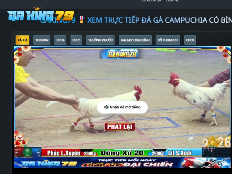 GAKING79 – Nền Tảng Trực Tiếp Đá Gà Số 1 Việt Nam 2026